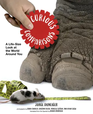 Furcsa összehasonlítások: A Life-Size Look at the World Around Around You - Curious Comparisons: A Life-Size Look at the World Around You