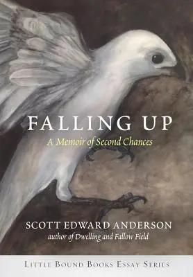 Falling Up: A második esélyek emlékirata - Falling Up: A Memoir of Second Chances