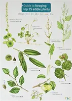 Útmutató a gyűjtögetéshez: Top 25 ehető növény - Guide to Foraging: Top 25 Edible Plants