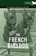 A francia bulldog - A kutya teljes antológiája - The French Bulldog - A Complete Anthology of the Dog