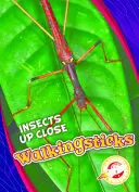 Walkingsticks