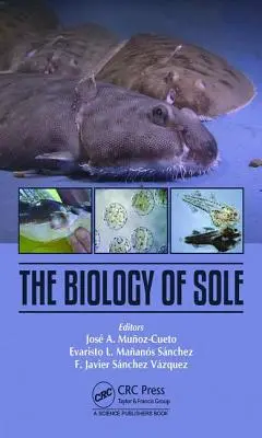 Az egyedüli biológia - The Biology of Sole