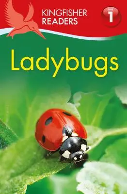 Katicabogarak - Ladybugs