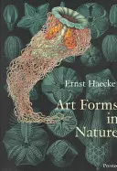 Művészeti formák a természetben: Ernst Haeckel lenyomatai - Art Forms in Nature: The Prints of Ernst Haeckel