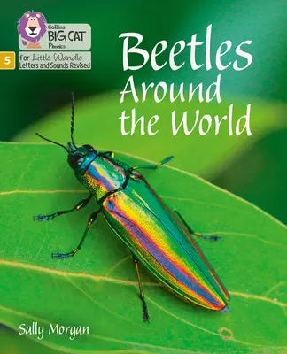 Bogarak a világ körül - 5. szakasz - Beetles Around the World - Phase 5