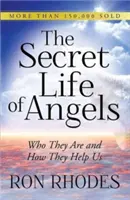 Az angyalok titkos élete: Kik ők és hogyan segítenek nekünk - The Secret Life of Angels: Who They Are and How They Help Us