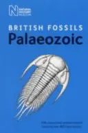 Brit paleozoikus fosszíliák - British Palaeozoic Fossils