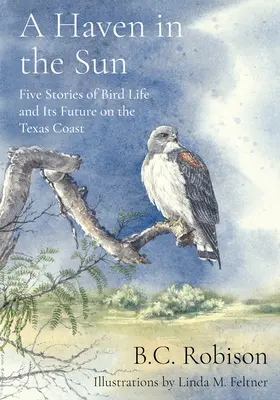Egy menedék a napon: Öt történet a madárvilágról és annak jövőjéről a texasi partvidéken - A Haven in the Sun: Five Stories of Bird Life and Its Future on the Texas Coast