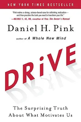 Drive: A meglepő igazság arról, hogy mi motivál minket - Drive: The Surprising Truth about What Motivates Us