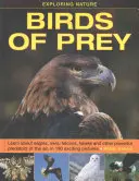 A természet felfedezése: Birds of Prey: Ismerje meg a sasokat, baglyokat, sólymokat, sólymokat és más hatalmas ragadozókat a levegőben, 190 izgalmas képen. - Exploring Nature: Birds of Prey: Learn about Eagles, Owls, Falcons, Hawks and Other Powerful Predators of the Air, in 190 Exciting Pictures