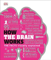 Hogyan működik az agy - A tények vizuálisan magyarázva - How the Brain Works - The Facts Visually Explained