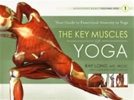 A jóga legfontosabb izmai - The Key Muscles of Yoga