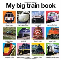 My Big Train Book