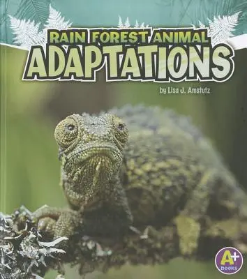 Esőerdei állatok alkalmazkodása - Rain Forest Animal Adaptations