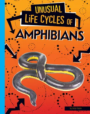 A kétéltűek szokatlan életciklusai - Unusual Life Cycles of Amphibians