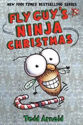 Fly Guy's Ninja Christmas (Fly Guy #16), 16