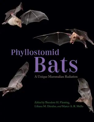 Phyllostomid denevérek: Egyedülálló emlősök sugárzása - Phyllostomid Bats: A Unique Mammalian Radiation