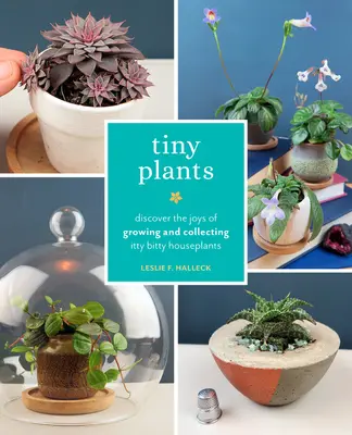 Apró növények: Házinövények: Fedezd fel az aprócska szobanövények termesztésének és gyűjtésének örömeit - Tiny Plants: Discover the Joys of Growing and Collecting Itty-Bitty Houseplants