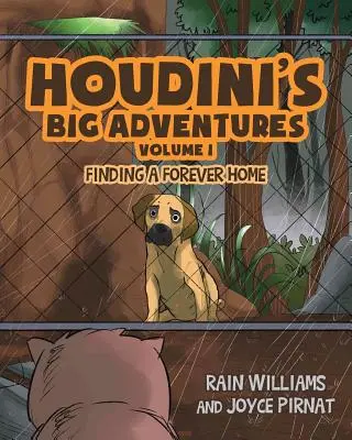 Houdini nagy kalandjai: Örök otthont találni - Houdini's Big Adventures: Finding a Forever Home