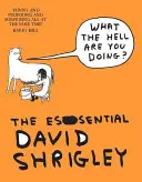 Mi a fenét csinálsz? The Essential David Shrigley - What The Hell Are You Doing?: The Essential David Shrigley