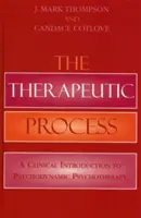 A terápiás folyamat: Klinikai bevezetés a pszichodinamikus pszichoterápiába - The Therapeutic Process: A Clinical Introduction to Psychodynamic Psychotherapy