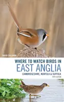 Hol nézhetünk madarakat Kelet-Angliában: Cambridgeshire, Norfolk és Suffolk - Where to Watch Birds in East Anglia: Cambridgeshire, Norfolk and Suffolk