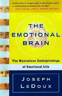 Az érzelmi agy: Az érzelmi élet titokzatos alapjai - The Emotional Brain: The Mysterious Underpinnings of Emotional Life