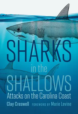 Sharks in the Shallows: Támadások a karolinai partvidéken - Sharks in the Shallows: Attacks on the Carolina Coast