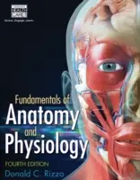 Az anatómia és élettan alapjai - Fundamentals of Anatomy and Physiology