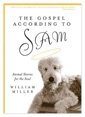 The Gospel According to Sam: Állati történetek a léleknek - The Gospel According to Sam: Animal Stories for the Soul