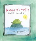 Egy teknősbéka leckéi: (Az élet kis könyve) - Lessons of a Turtle: (The Little Book of Life)