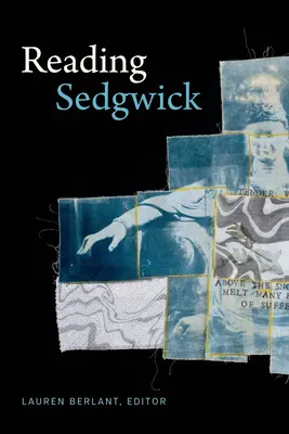 Čtení Sedgwicka - Reading Sedgwick