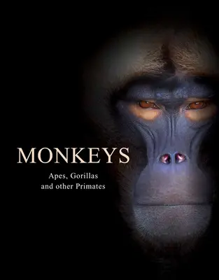 Majmok: Majmok, gorillák és más főemlősök. - Monkeys: Apes, Gorillas and Other Primates