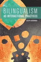 A kétnyelvűség mint interakciós gyakorlatok - Bilingualism as Interactional Practices