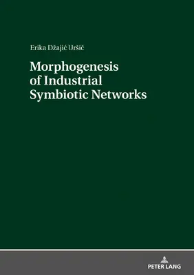 Az ipari szimbiózishálózatok morfogenezise - Morphogenesis of Industrial Symbiotic Networks