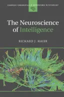 Az intelligencia idegtudománya - The Neuroscience of Intelligence