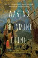 Ébrenlét, álom, létezés: Én és tudatosság az idegtudományban, a meditációban és a filozófiában - Waking, Dreaming, Being: Self and Consciousness in Neuroscience, Meditation, and Philosophy