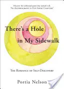 Van egy lyuk a járdámon: Az önfelfedezés romantikája - There's a Hole in My Sidewalk: The Romance of Self-Discovery