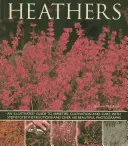 Heathers: Illusztrált útmutató a fajtákhoz, a termesztéshez és a gondozáshoz, lépésről lépésre útmutatóval és több mint 160 gyönyörű fényképfelvétellel. - Heathers: An Illustrated Guide to Varieties, Cultivation and Care, with Wtep-By-Step Instructions and Over 160 Beautiful Photogr