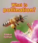 Mi a beporzás? - What Is Pollination?