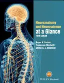 Neuroanatómia és idegtudományok áttekintése - Neuroanatomy and Neuroscience at a Glance