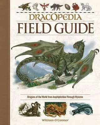 Drakopédia terepszemle: A világ sárkányai az Amphipteridae-tól a Wyvernae-n át a Wyvernae-ig - Dracopedia Field Guide: Dragons of the World from Amphipteridae Through Wyvernae