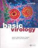 Alapvető virológia - Basic Virology