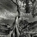 Ősi fák: Az idő portréi - Ancient Trees: Portraits of Time