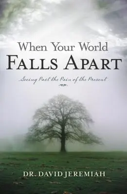 Amikor a világod szétesik: Láss túl a jelen fájdalmán - When Your World Falls Apart: See Past the Pain of the Present