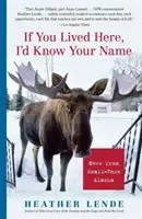 Ha itt élnél, tudnám a neved: Alaszka kisvárosi hírei - If You Lived Here, I'd Know Your Name: News from Small-Town Alaska