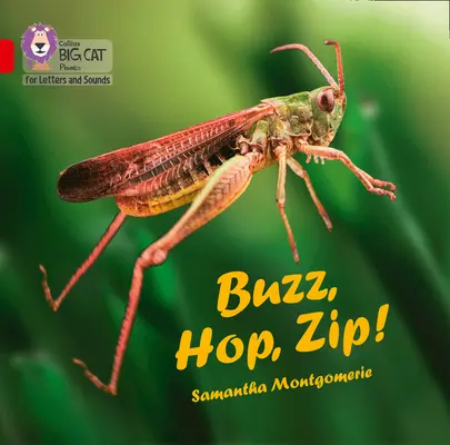 Buzz, Hop, Zip! Big Book - Band 02a/Red a