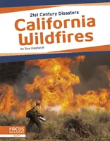 Kaliforniai erdőtüzek - California Wildfires