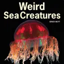 Furcsa tengeri lények - Weird Sea Creatures