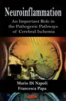 Neuroinflammáció - Fontos szerep az agyi iszkémiás patogén útvonalakban - Neuroinflammation - An Important Role in the Pathogenic Pathways of Cerebral Ischemia